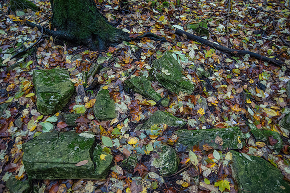 LautBacWoodFall14-91