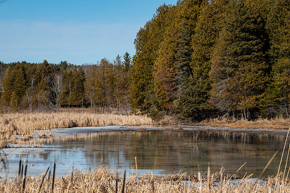 03-07-2021-Dan Eggert-Peninsula State Park Water over Ice Marsh Reflection-3