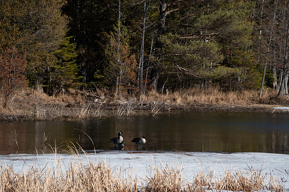 penparkicereflection-41