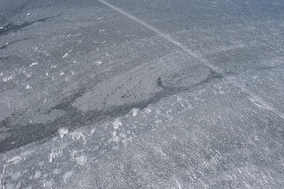 icefish-89
