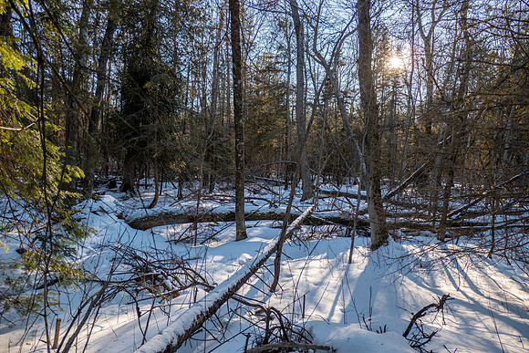WinterDay-77-HDR