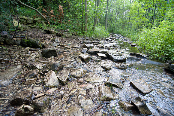 PenParkHike-3547