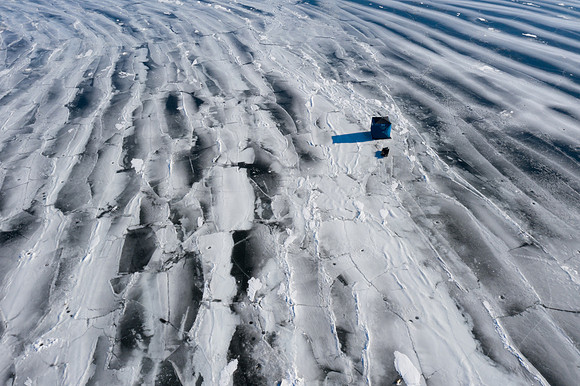 icefish-348