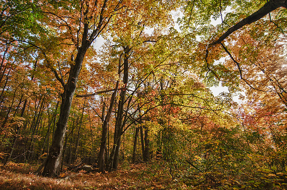 FallFarm-7_HDR