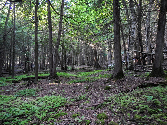 PenParkHike-7-2