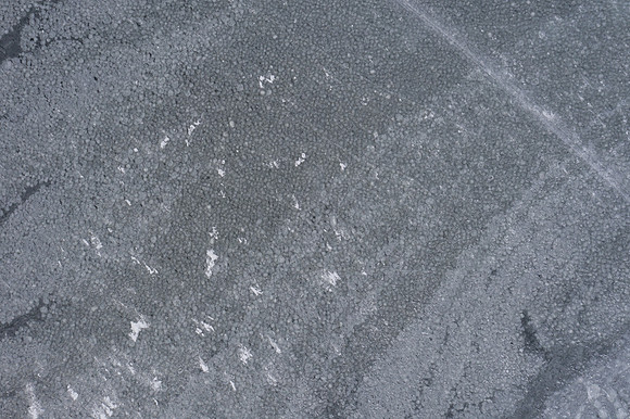 icefish-91