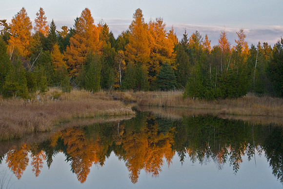 10272009FallColors194