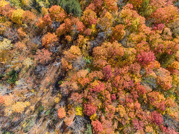 FallDrone-16