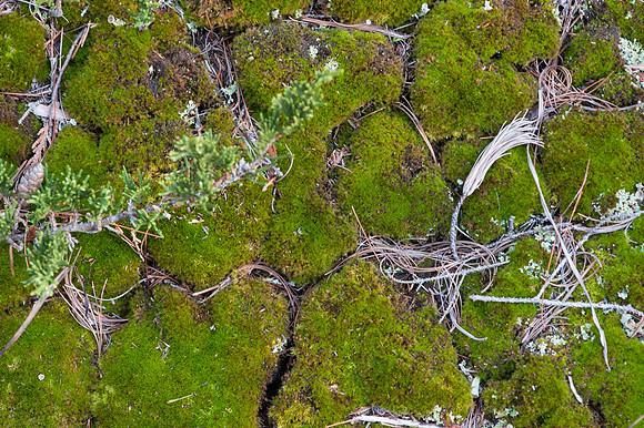 0913Ridges-135