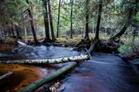 ErskinWood-55