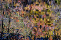 APondFall14-356
