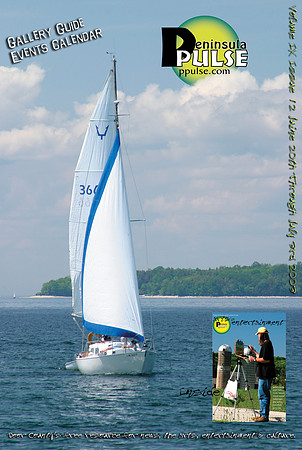 ppv9i12_cover_sm