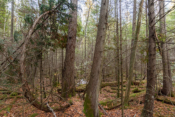 NorthBayHike-143-HDR