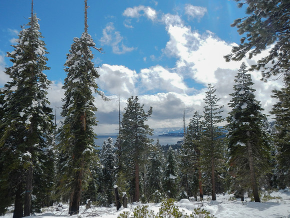 Snowshoe3-28-12-100