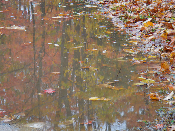 FallFest-52