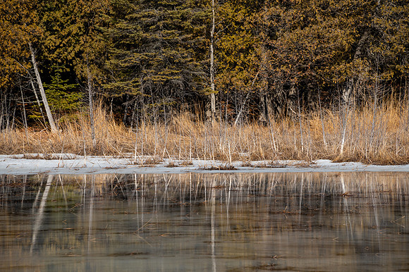 03-07-2021-Dan Eggert-Peninsula State Park Water over Ice Marsh Reflection-4