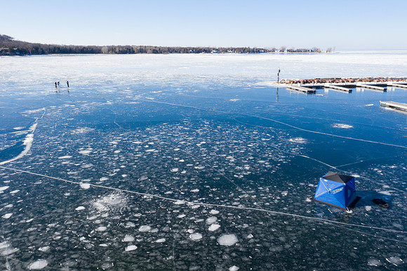 icefish-29
