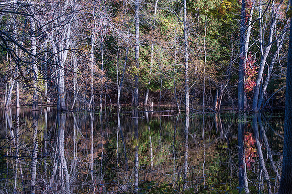 APondFall14-338
